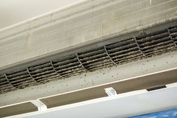  Northview, MI Airduct Cleaning Pros
