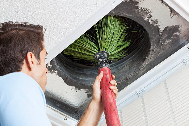 Best Emergency Air Duct Cleaning  in Northview, MI